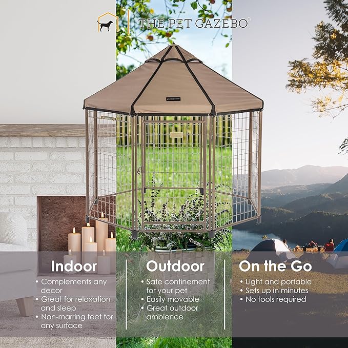 Secure door and drop-down window