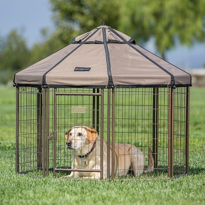 Advantek Pet Gazebo Built for Play and Peace of Mind